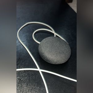 Google Home Mini!